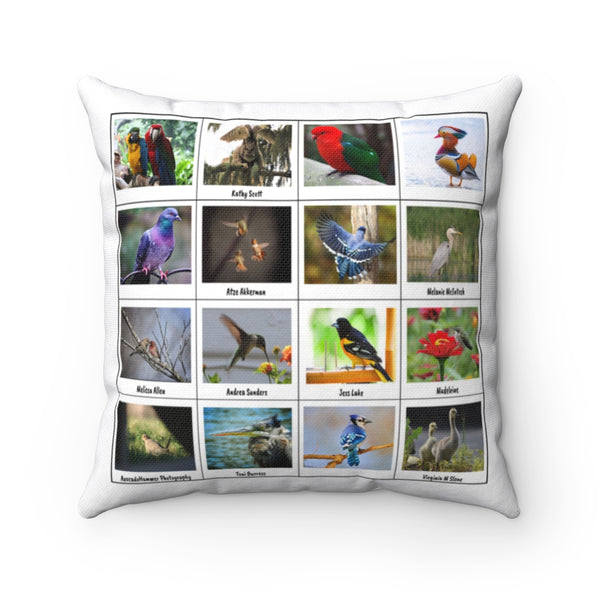 Terrific Bird Photography (Version 6)