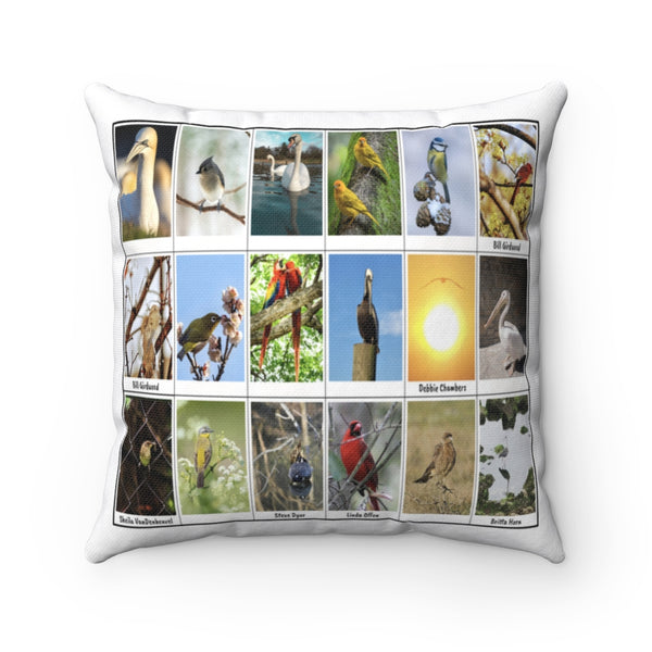 Fascinating Bird Photography (Version 6)