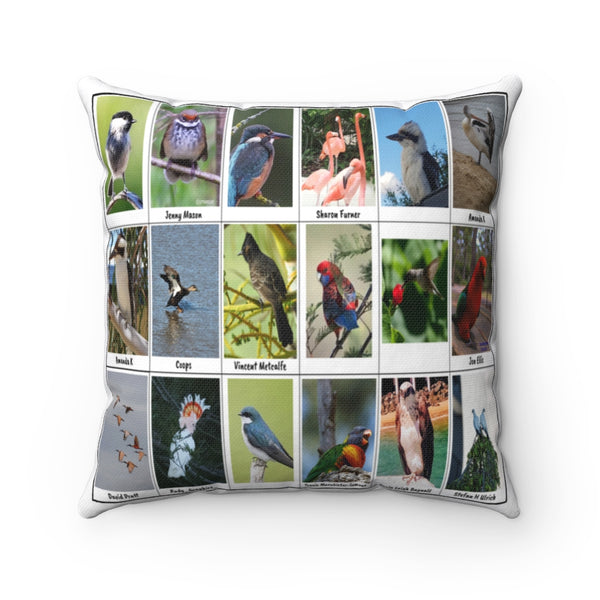 Charming Bird Photography (Version 4)