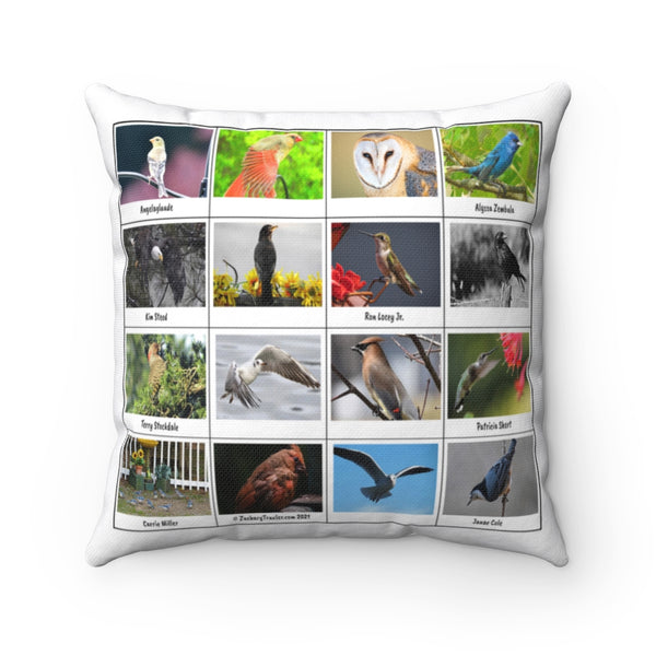 Superb Bird Photography (Version 4)