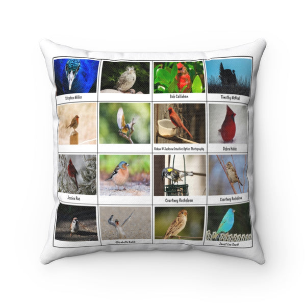 Superb Bird Photography (Version 7)