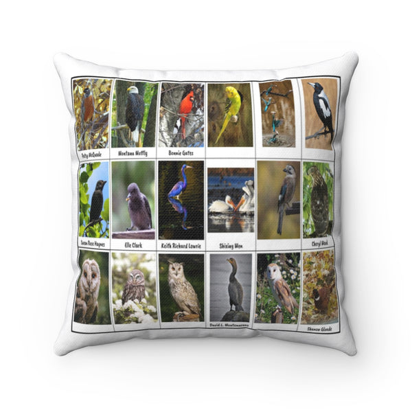 Remarkable Birds (Version 4)