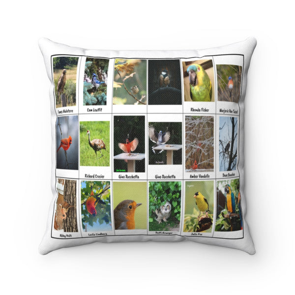 Radiant Bird Photography (Version 3)