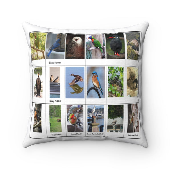 Dazzling Bird Photography (Version 2)