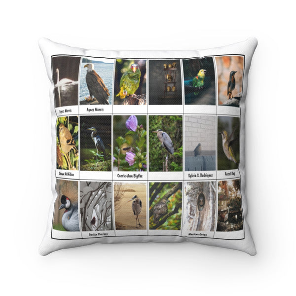 Brilliant Bird Photography (Version 6)