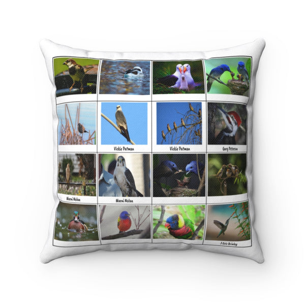 Sensational Bird Photography (Version 3)