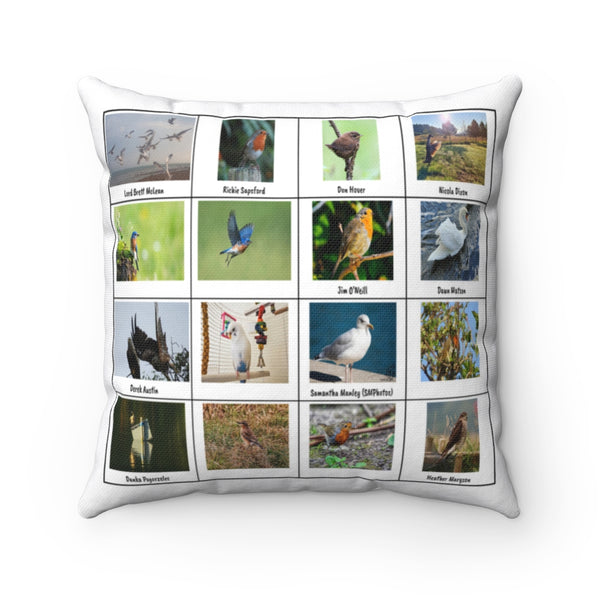 Wonderful Bird Photography (Version 3)