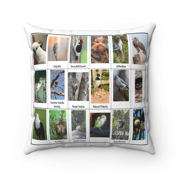 Incredible Bird Photography (Version 1)