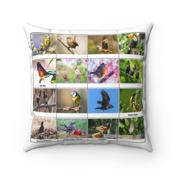 Amazing Bird Photography (Version 6)