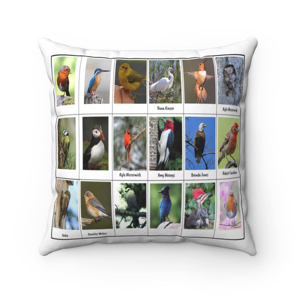 Superb Bird Photography (Version 4)