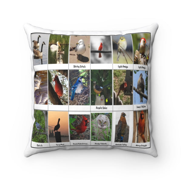 Lovely Bird Photography (Version 5)
