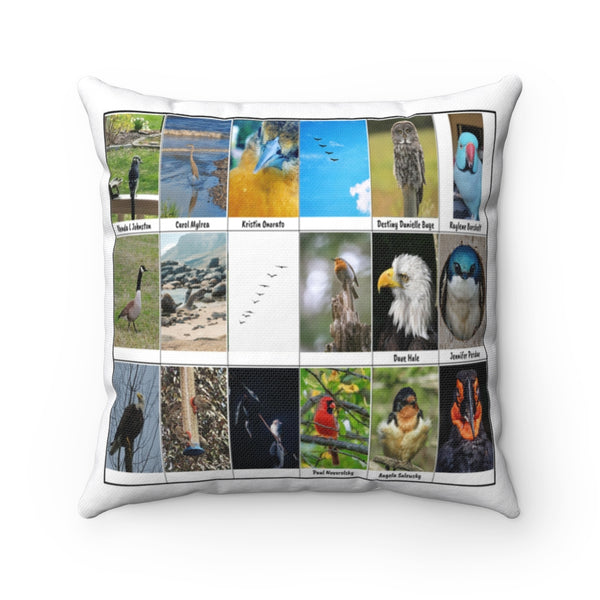 Striking Bird Photography (Version 4)