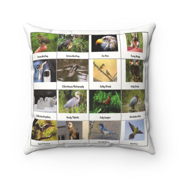 Lovely Bird Photography (Version 7)
