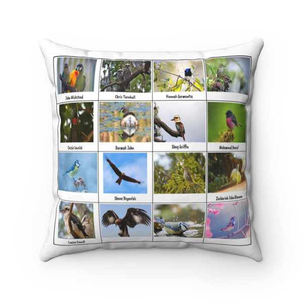 Amazing Birds (Version 3)