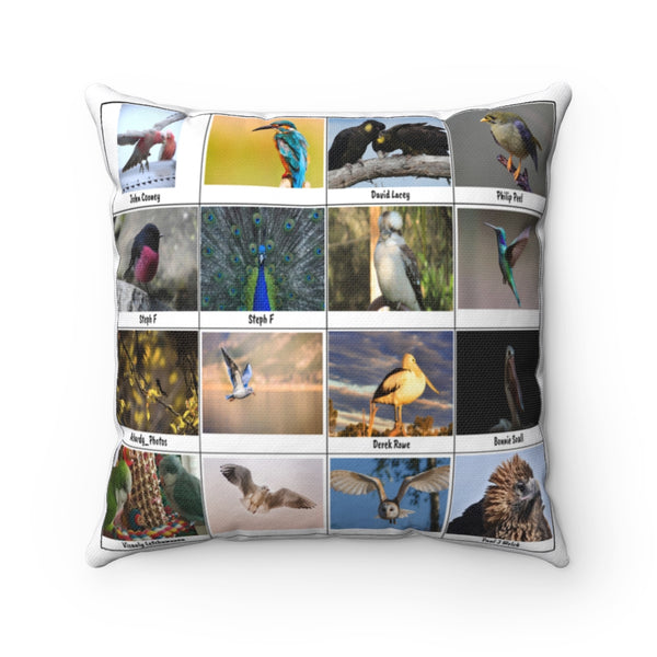Charming Bird Photography (Version 1)