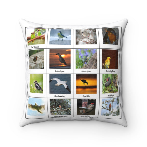 Wonderful Bird Photography (Version 1)