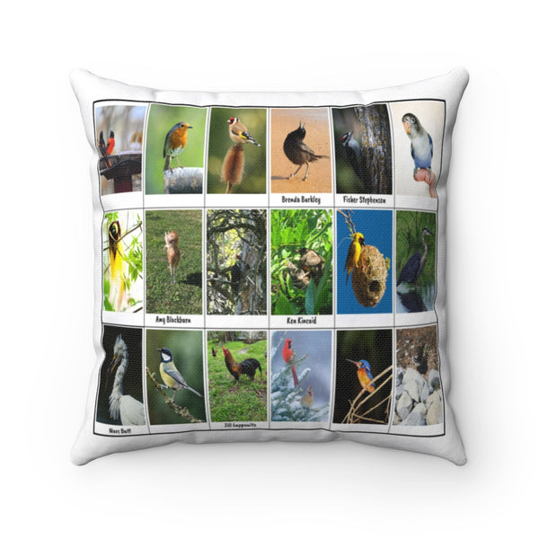 Great Bird Photography (Version 1)