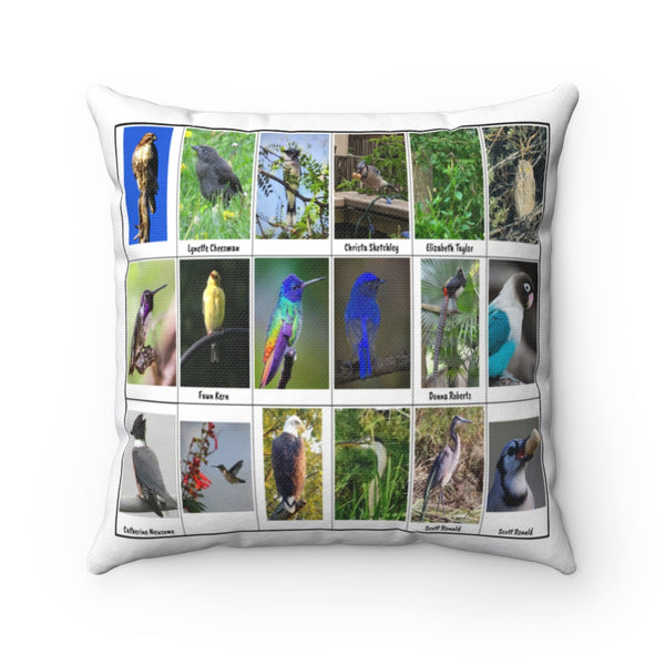 Sensational Bird Photography (Version 3)
