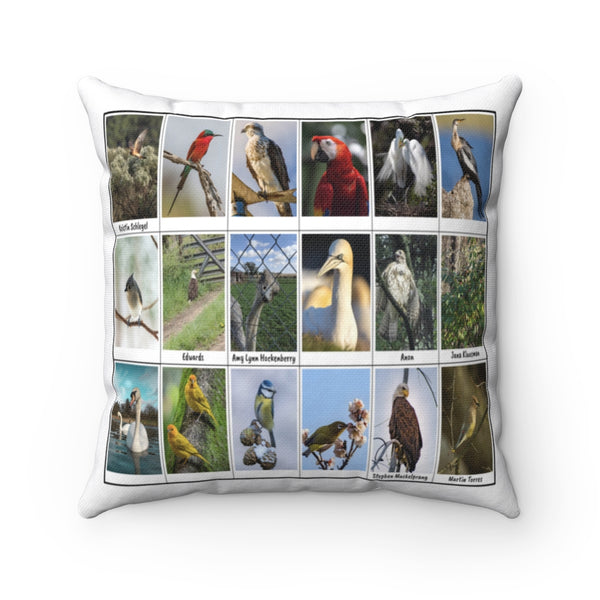 Extraordinary Birds (Version 4)