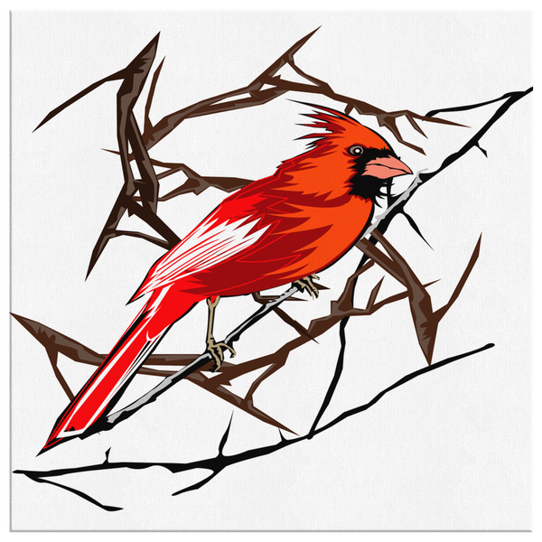 Northern Cardinal Bird Square Canvas Wrap