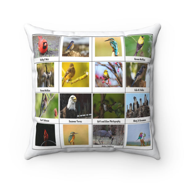 Marvelous Bird Photography (Version 1)