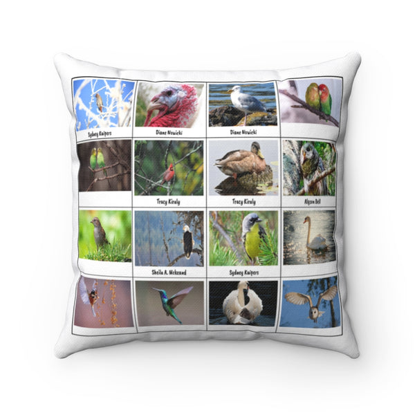 Ravishing Bird Photography (Version 8)