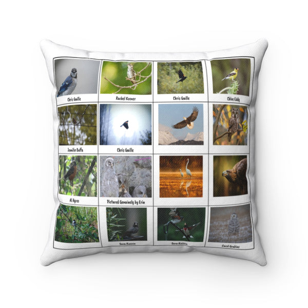 Remarkable Bird Photography (Version 1)