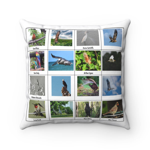 Remarkable Bird Photography (Version 2)