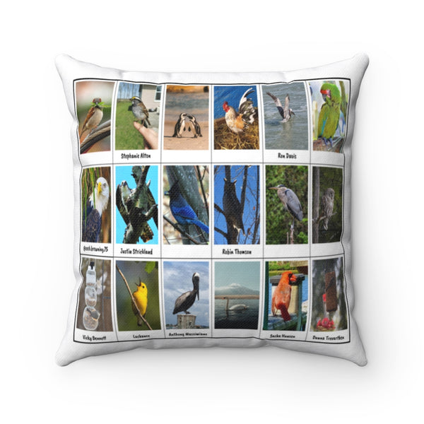 Extraordinary Bird Photography (Version 3)