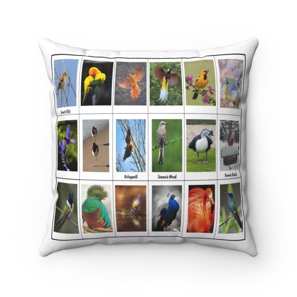 Terrific Bird Photography (Version 7)
