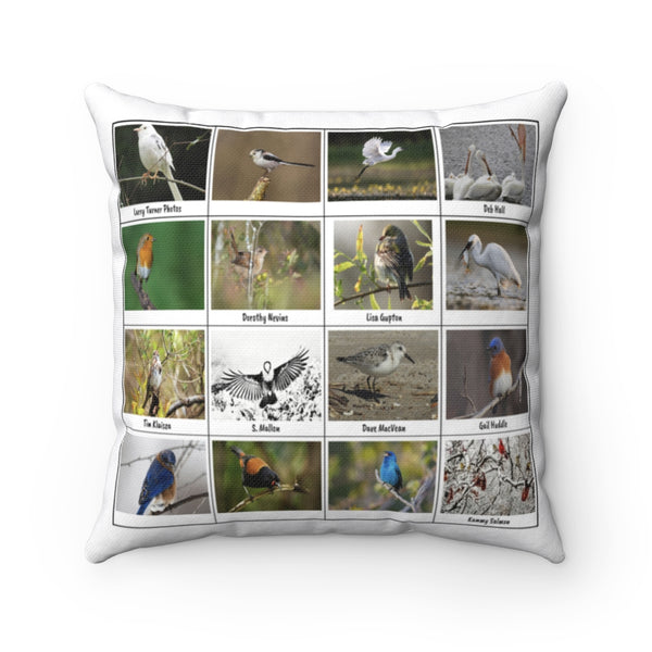 Extraordinary Birds (Version 7)
