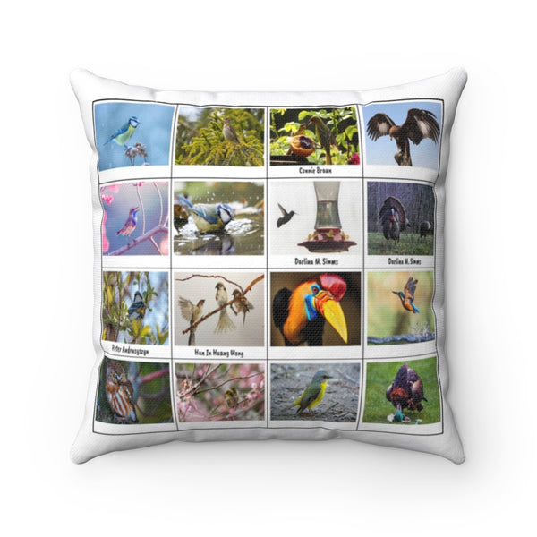 Extraordinary Birds (Version 3)