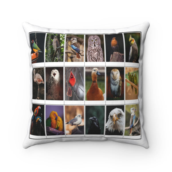 Beautiful Bird Photography (Version 8)