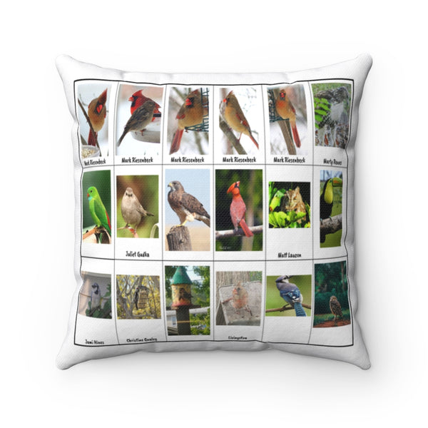 Impressive Bird Photography (Version 4)