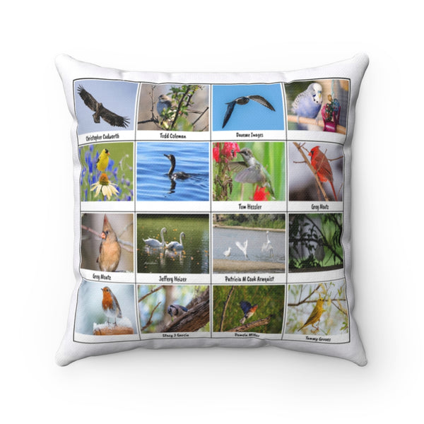 Great Bird Photography (Version 3)