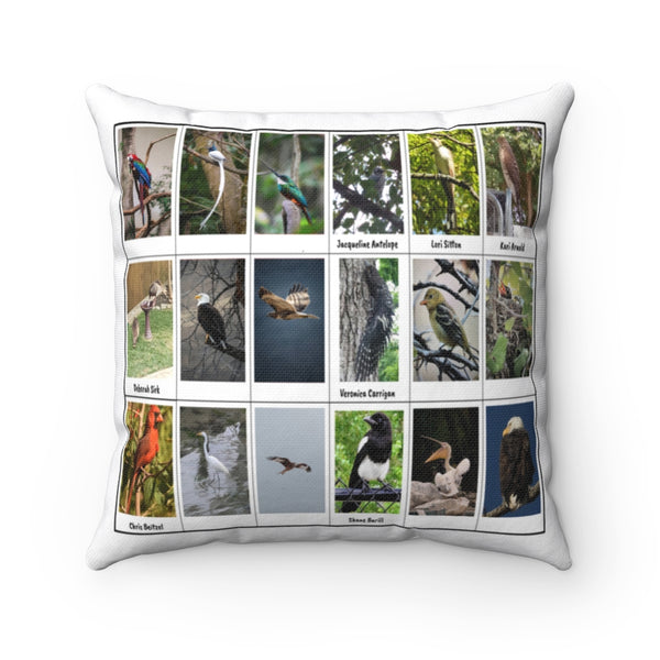 Extraordinary Bird Photography (Version 2)