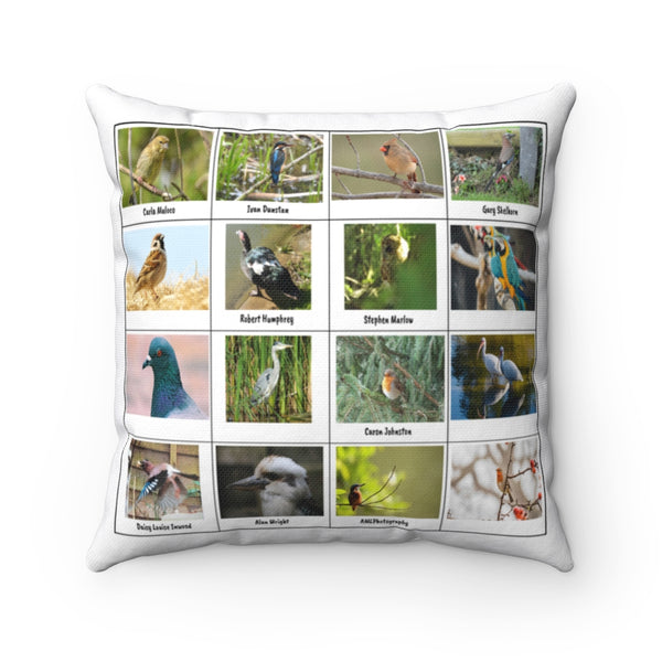 Excellent Bird Photography (Version 7)