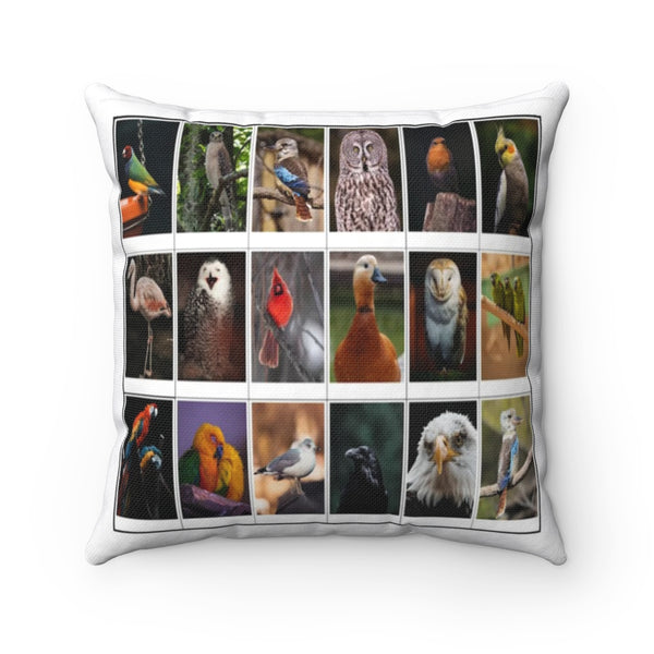 Superb Bird Photography (Version 8)