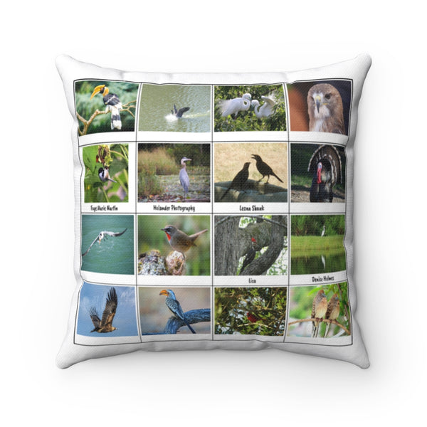 Great Bird Photography (Version 7)