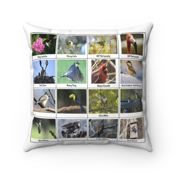 Fascinating Bird Photography (Version 8)