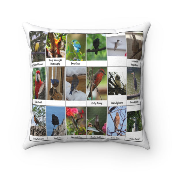 Lovely Bird Photography (Version 7)