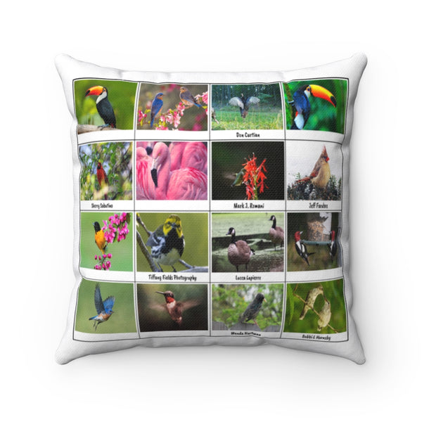 Magnificent Bird Photography (Version 1)