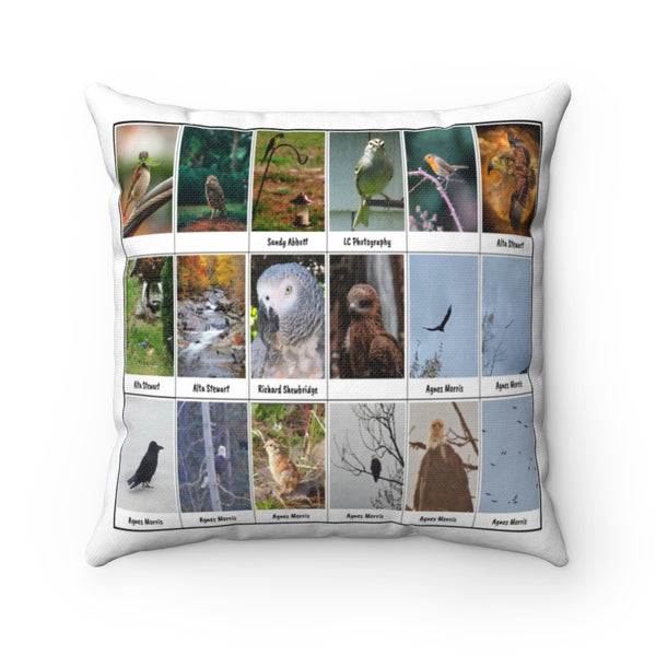 Brilliant Bird Photography (Version 5)