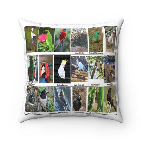 Exceptional Bird Photography (Version 4)
