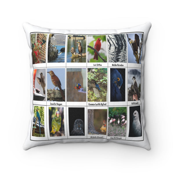 Marvelous Bird Photography (Version 5)