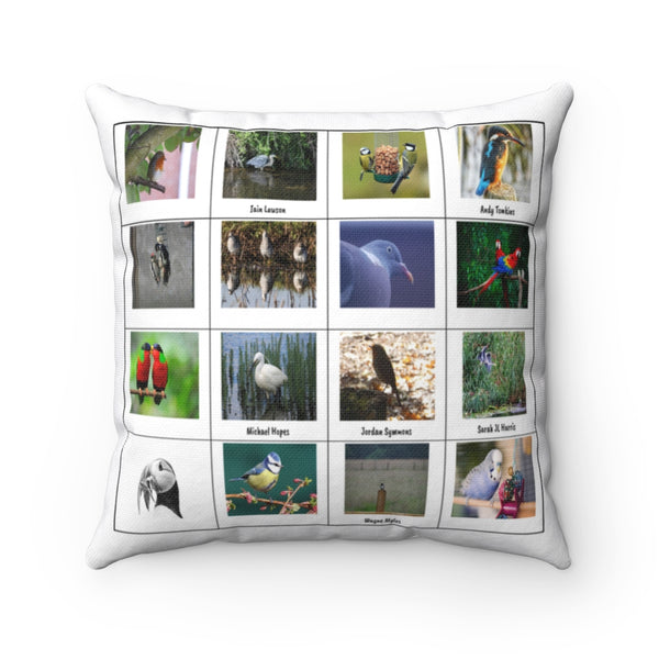 Delightful Bird Photography (Version 7)