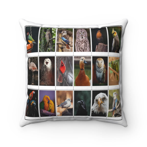 Astonishing Birds (Version 8)