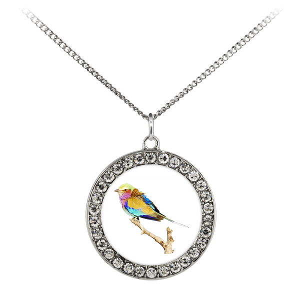 Lilac-breasted Roller Necklace Stone Coin