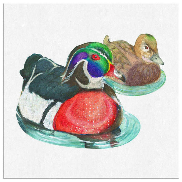 Wood Duck Canvas Wrap