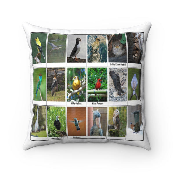 Great Bird Photography (Version 7)